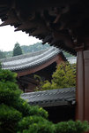 F95C9798_resize