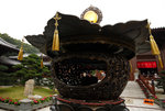 F95C9805_resize