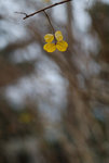 F95C9836_resize
