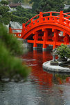 F95C9869_resize
