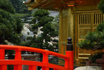 F95C9891_resize