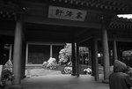 F95C9900_resize