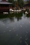 F95C9902_resize