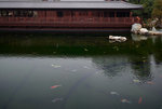 F95C9908_resize
