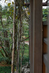 F95C9918_resize