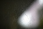 F95C0791_resize