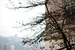 F95C0798_resize