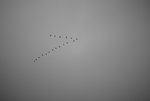 F95C0862_resize