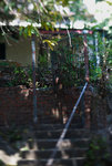 F95C1203_resize