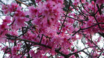 L1030043_resize