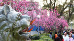 L1030046_resize