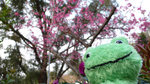 L1030063_resize