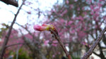 L1030068_resize