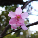 L1030069_resize