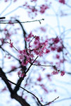 F95C0428_resize