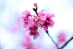 F95C0434_resize