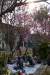 L1030131_resize