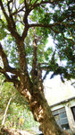 L1030251_resize