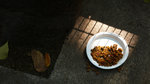 L1030256_resize