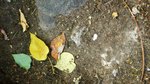 L1030257_resize