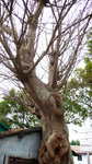 L1030340_resize