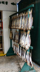 L1030346_resize