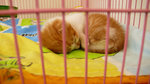 L1030358_resize