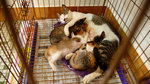 L1030359_resize
