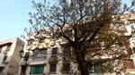 20080405_L1030640_resize