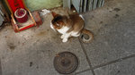 20080405_L1030645_resize