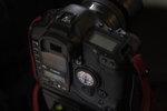 LG7P7328_resize