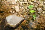 20081012 F95C2759