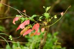 20081012 F95C2799