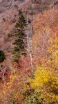 20081022 080
