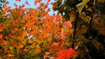 20081023 037