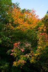20081023 042
