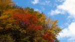 20081023 060