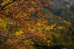 20081023 071