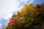 20081023 072