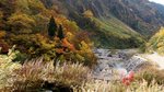 20081023 104