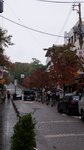 20081024 059