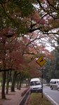 20081024 393