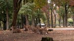 20081024 394