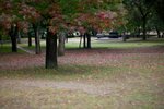 20081024 413
