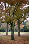 20081024 418