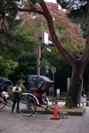 20081024 430