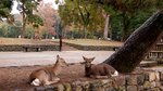 20081024 433