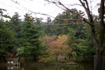 20081024 489