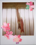 R001F007