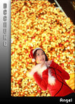 angel2009
